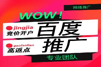 某电商平台的SEM关键词策略及成效分析